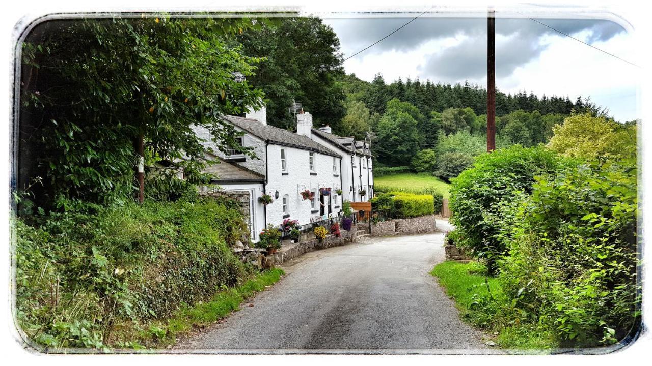 River Cottage St Asaph Εξωτερικό φωτογραφία