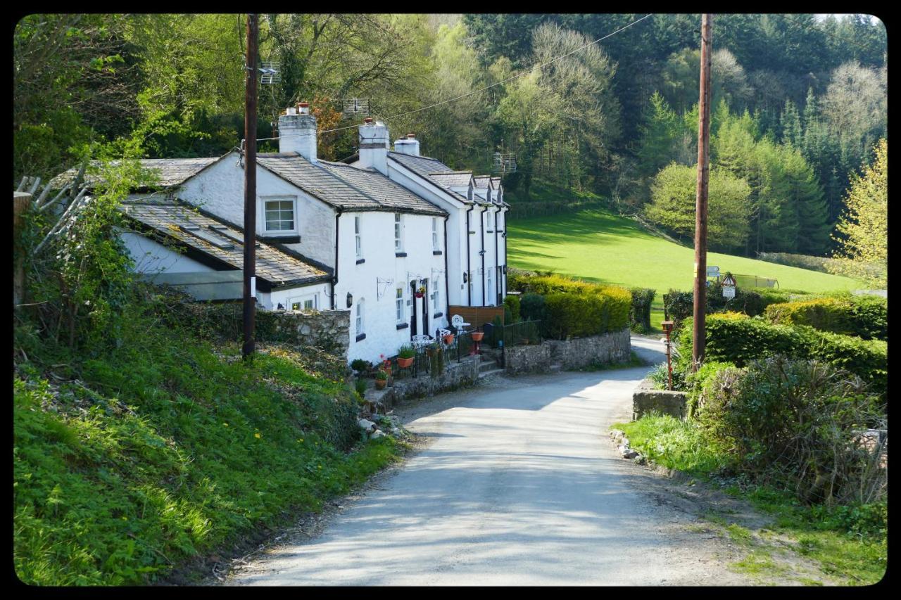 River Cottage St Asaph Εξωτερικό φωτογραφία