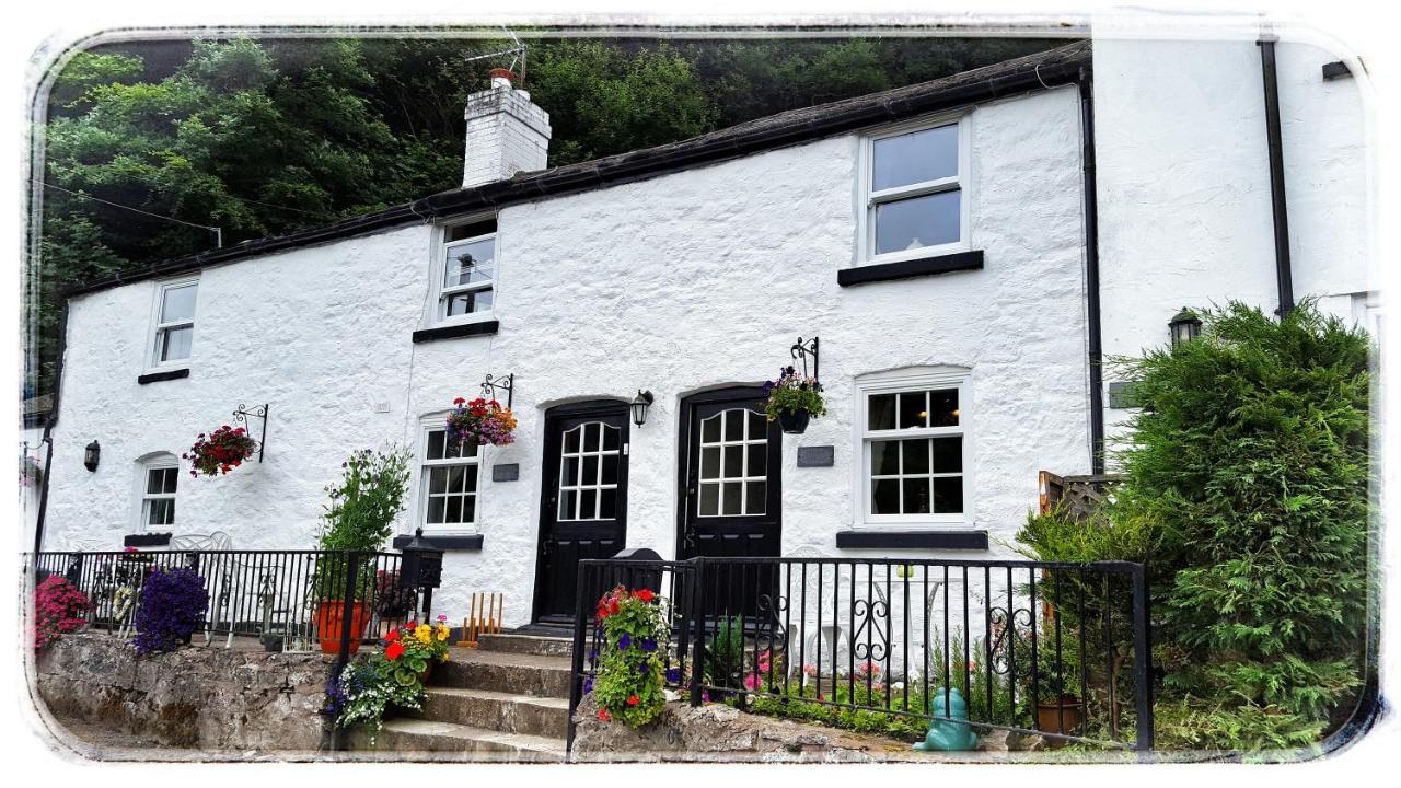 River Cottage St Asaph Εξωτερικό φωτογραφία