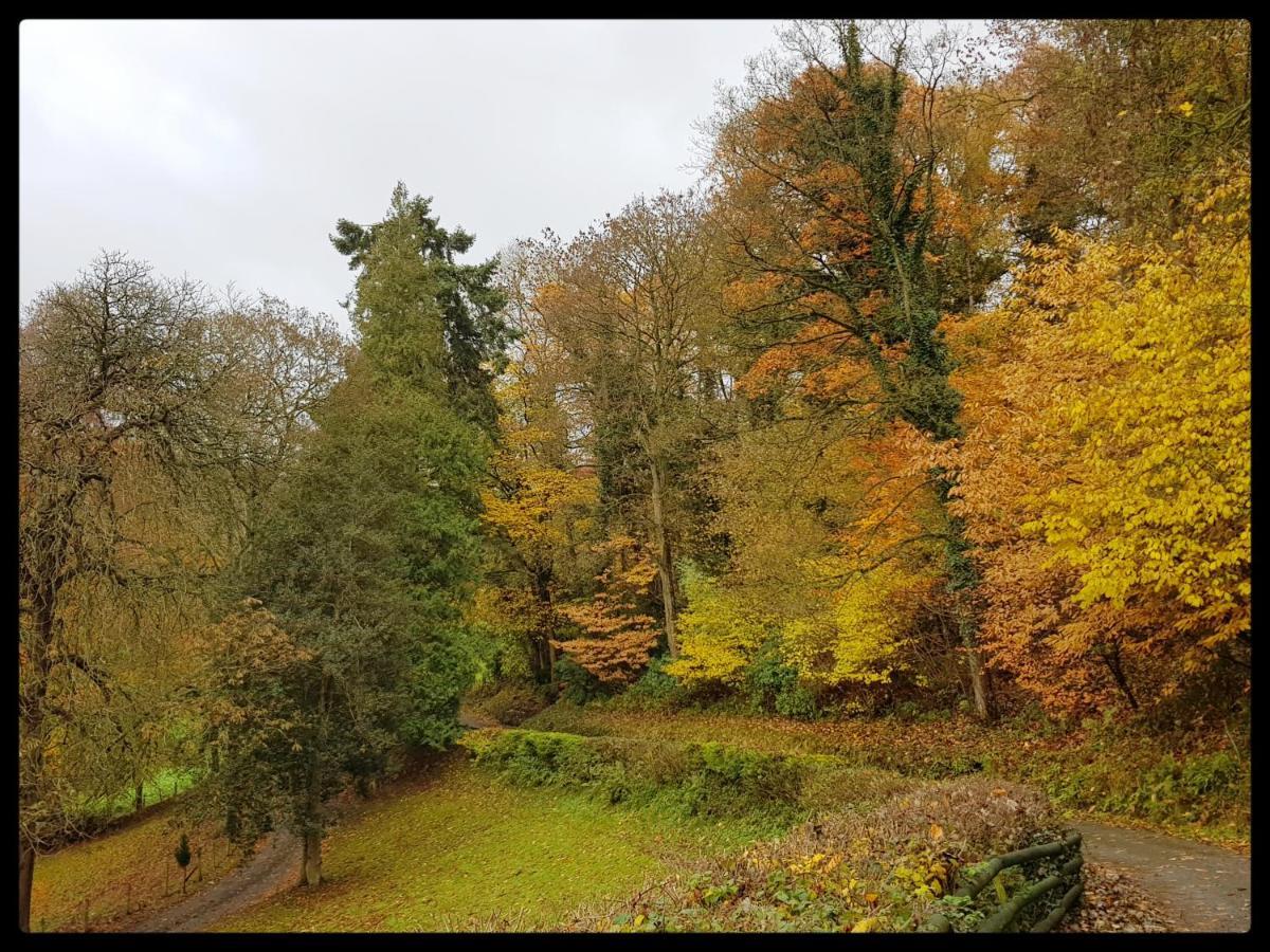 River Cottage St Asaph Εξωτερικό φωτογραφία